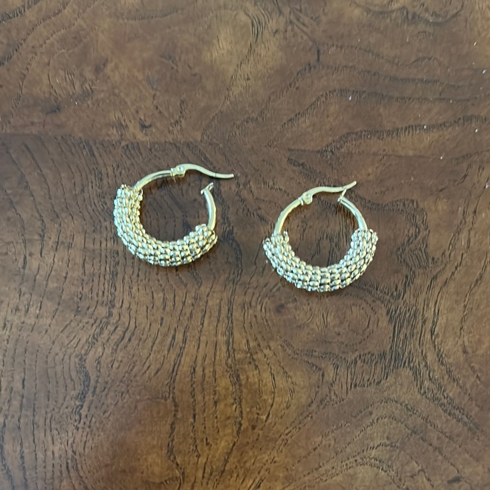 Elegant Gold Hoop Earrings